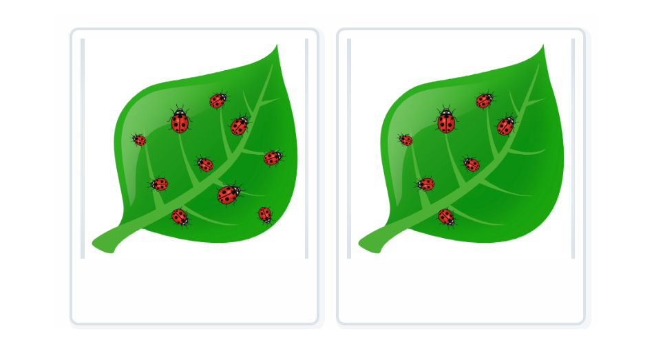 Blätter mit Marienkäfern